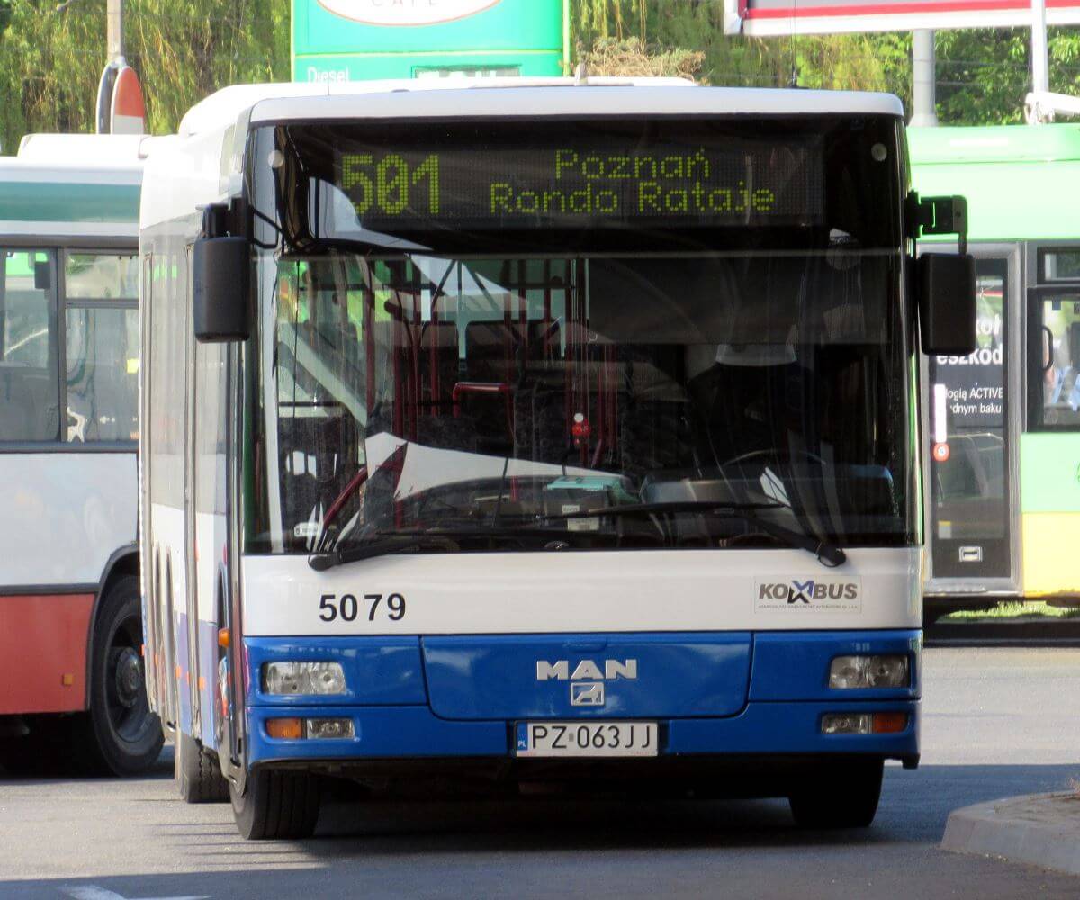 Autobus linii 504