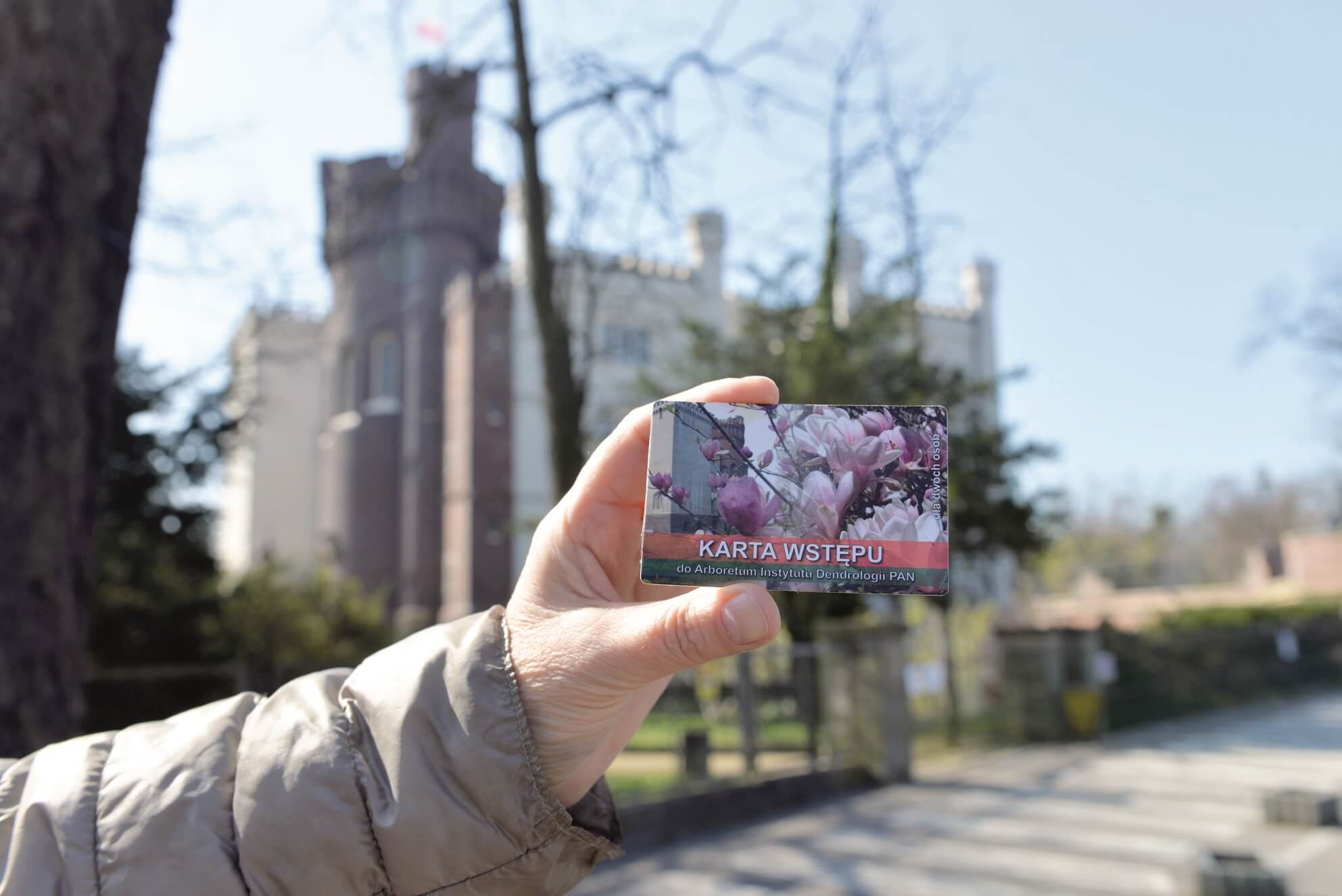 Karta wstępu do Arboretum trzymana w ręce na tle zamku