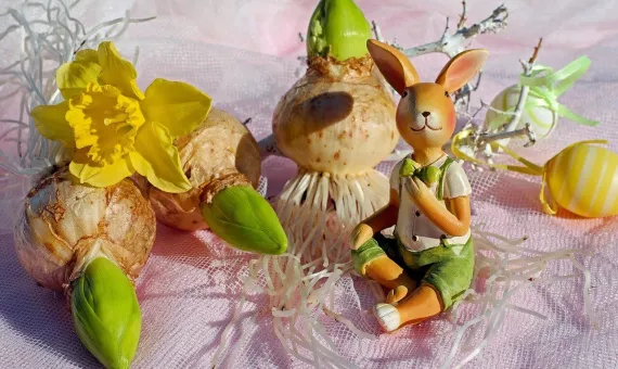 Cebulki żonkili oraz ceramiczny króliczek na wielkanocnym stole