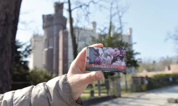 Karta wstępu do Arboretum trzymana w ręce na tle zamku