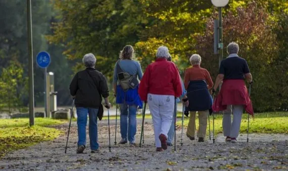 Grupa starszych osób spaceruje z kijkami po alejce parku