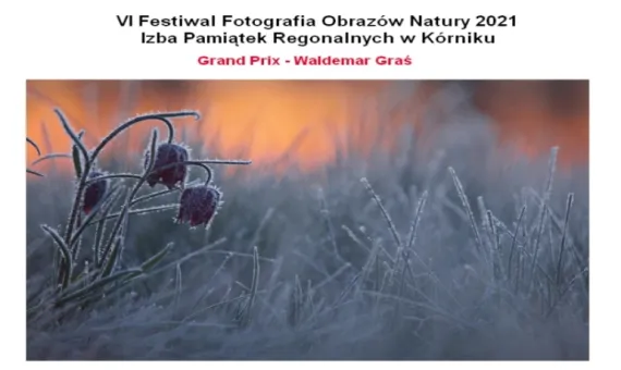 VI Festiwal Fotografia Obrazów Natury 2021