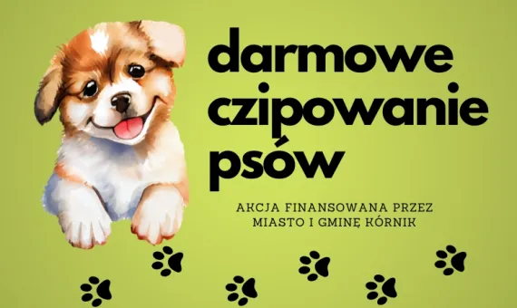 grafika pies