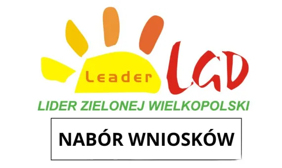 grafika Lider
