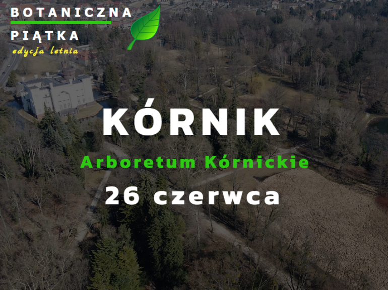 Grafika informacyjna - Botaniczna Piątka Kórnik