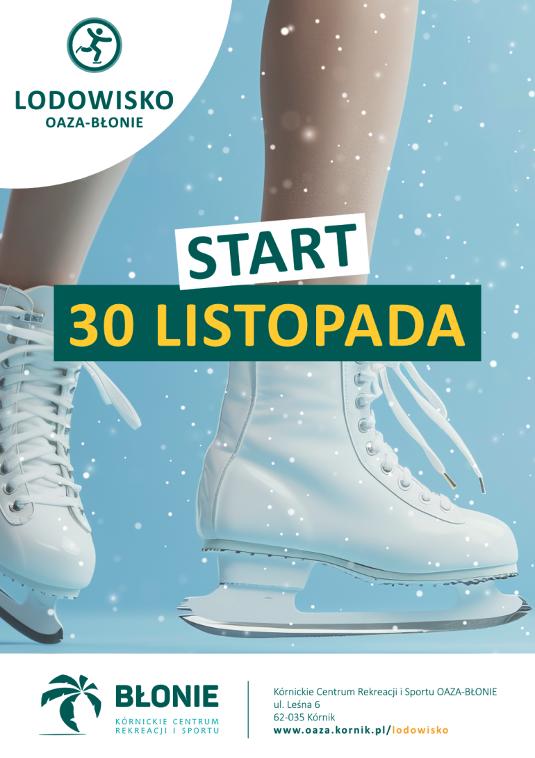 plakat lodowisko